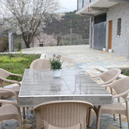 Selenica Zhitom Nyaraló *